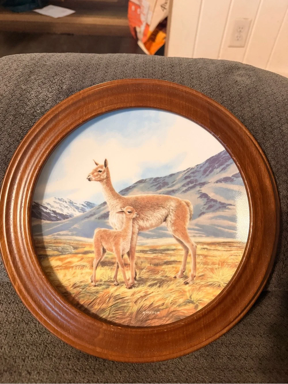 Wildlife Decorative Wall Plates - Brown Frame, Antelope Scene